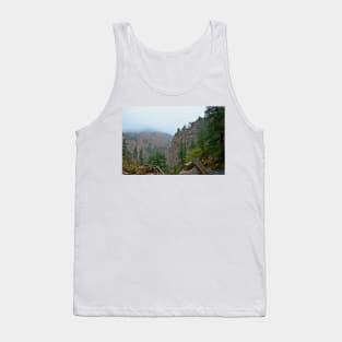 Seven Falls Pastoral Study 4 Tank Top